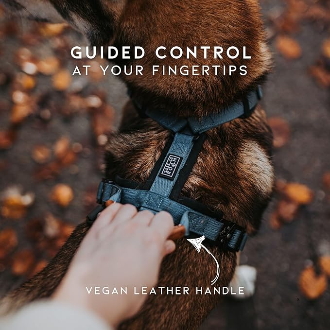MADE TO ROAM Premium Explorer Harness - Y-Shaped Dog Harness with Adjustable Durable Nylon, Soft Padding, Metal Buckles and Leather Handle for Small, Medium, Large Dogs (Arizona Heartbeat, Size 1)