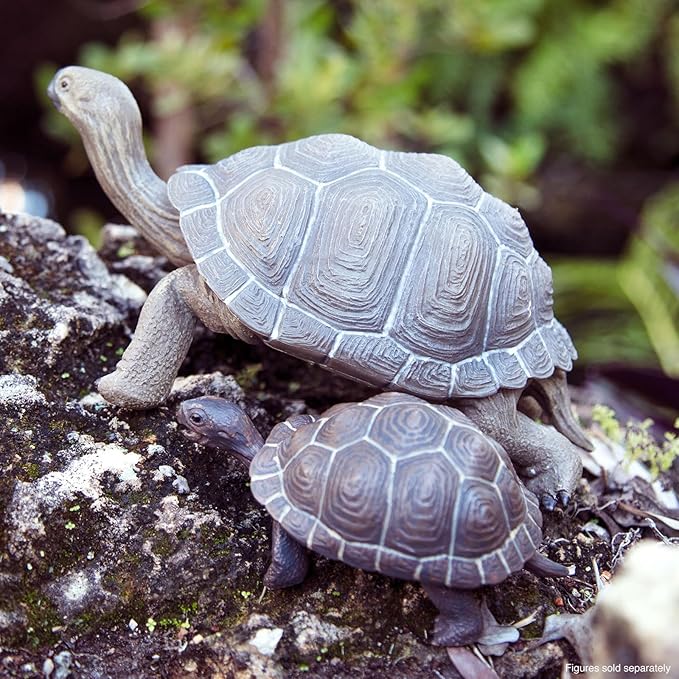 Safari Ltd. Tortoise Baby Figurine - Detailed 5.5" Plastic Model Figure - Fun Educational Play Toy for Boys, Girls & Kids Ages 18M+