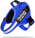 PawPawify Custom No Pull Dog Harness with Name and Phone Number, Heavy Duty Personalized Pet Vest to Prevent Tugging, Pulling, or Choking, Training and Walking (New Blue, XL (60-85 LBS))
