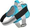 Bolux Dog Harness, No-Pull Reflective Dog Vest, Breathable Adjustable Pet Harness with Handle for Outdoor Walking - No More Pulling, Tugging or Choking (OceanicBlue, Medium (Pack of 1))