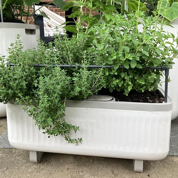 Vego Garden 2 Pack Herb Indoor Planter Box, Self Watering Pots with Trellis for Kitchen Window Sill or Countertop Plants Cage - Cream White