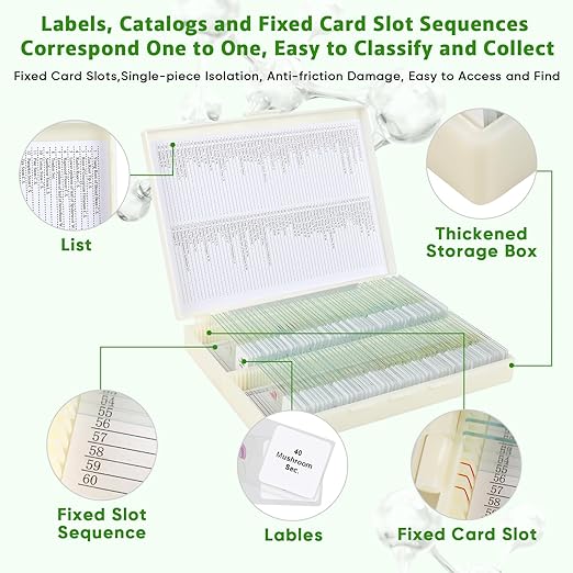 120 Microscope Slides with Specimens,Prepared Microscope Slides for Kids,Glass Slides for Microscope,Prepared Slides for Kids Microscope,Microscope Slide Preparation Kit for Biology Science Classes