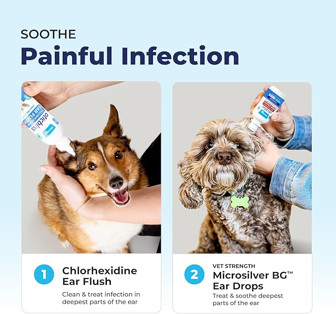 Vetnique Oticbliss Medicated Dog Ear Infection Treatment, Antiseptic Ear Cleaner for Cat & Dog Ear Cleaning Solution with Chlorhexidine & Ketoconazole (12oz Flush)