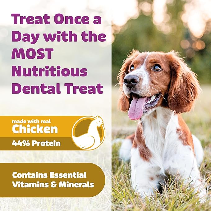 Dog Dental Treats – Vet VOHC Approved, Removes Tartar & Cleans Teeth – Yummy High Protein Chicken Treat for Large Dogs (Mini Pack, 6 Count)