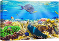 wall26 Canvas Print Wall Art Sunlight Ocean Sea Coral Reef Anemone Fish Nature Animals Photography Realism Rustic Scenic Landscape Wilderness Earth for Living Room, Bedroom, Office - 12"x18"