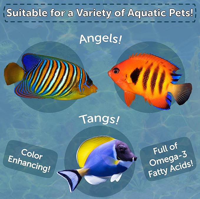 Aquatic Foods Inc. Marine Fish Flakes of Red & Green Algae, Seaweed for Tangs, Butterflies, Angelfish, Anthias, Clown Fish, Damsels Also Pellet Mix, Wafer Mix Included…AFI 2oz Jar