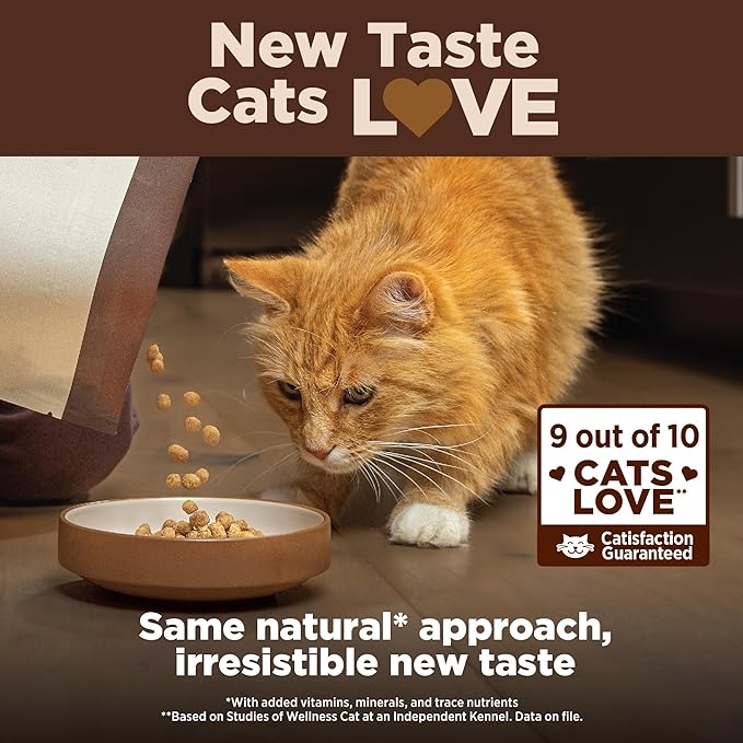 Wellness CORE+ Adult Dry Cat Food for Indoor and Outdoor Cats, Wholesome Grains, Natural, Digestive Health Salmon & Rice (5 Pound Bag)