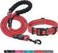 Heavy Duty Dog Leash - Comfortable Padded Handle, 5 ft Long - Dog Leashes for Small Medium Large Dogs (Leash+Collar XS Neck 10.5"-13.5", Red)