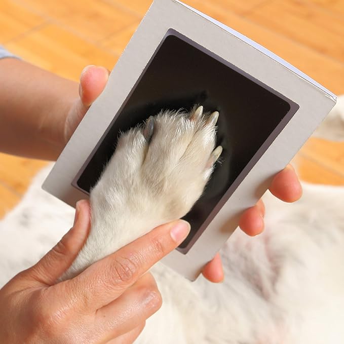 Green Pollywog Baby Handprint and Footprint Kit | Elegant White Frame with Inkless, Non-Toxic Pad | Newborn Keepsake for Baby or Dog Paw Prints