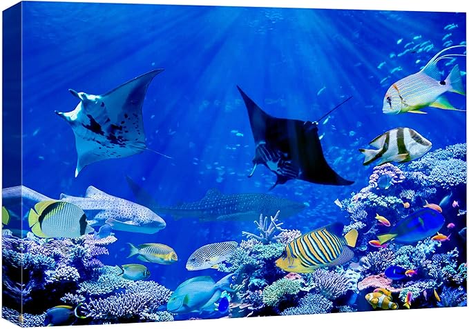 wall26 Canvas Print Wall Art Vibrant Sunlight Ray Ocean Shark Fish Reef Nature Animals Photography Realism Rustic Scenic Landscape Wilderness Earth for Living Room, Bedroom, Office - 16"x24"
