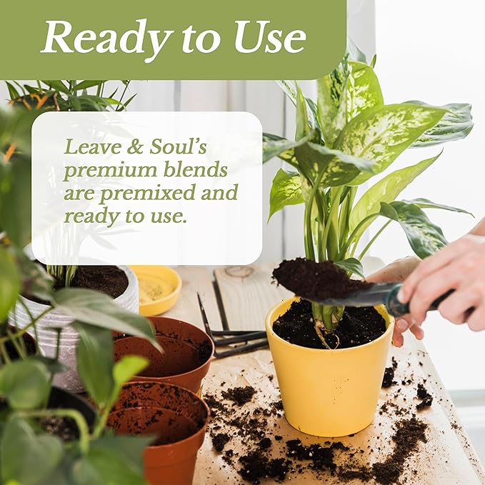 Succulent Soil Premium All Purpose Blend | Large 2.2 Quarts | Pre-Mixed Ready to Use for Cactus and Succulents | Canadian Peat, Course Sand, Pinebark | Made in USA