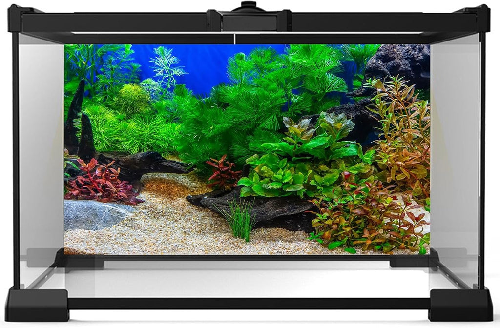Aquarium Background Underwater Grass Leaves with Pebble Fish Tank Background Vivid Green Aquatic Plant Stone River Bed Terrarium Background Lake Fish Dead Wood Tank Background 48x24in