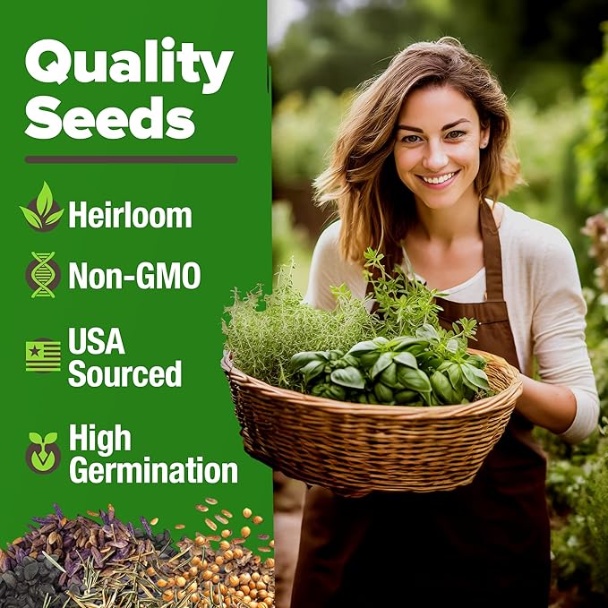 HOME GROWN 15 Herb Seeds for Planting 4,500+ Non-GMO Heirloom Seeds | Extra Large Variety Pack Herb Kit – Indoor Outdoor & Hydroponic | Culinary Seed Set | Grow Your Own Herbs | Gardening Gift