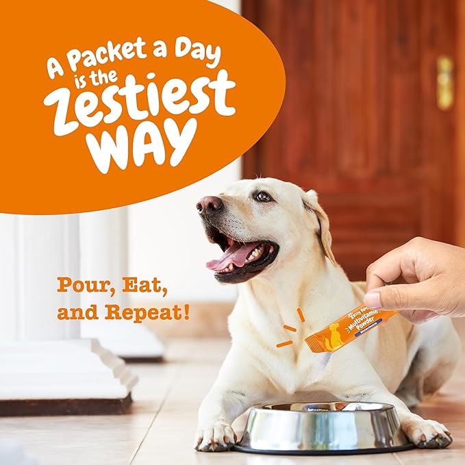 Zesty Paws 10-in-1 Dog Multivitamin Powder - Gut, Immune, Joint, Skin & Coat Support, and More - Dog Vitamins and Supplements Powder - Pet Supplements with Omega Fish Oil & VitaFiber - Salmon - 30 Ct