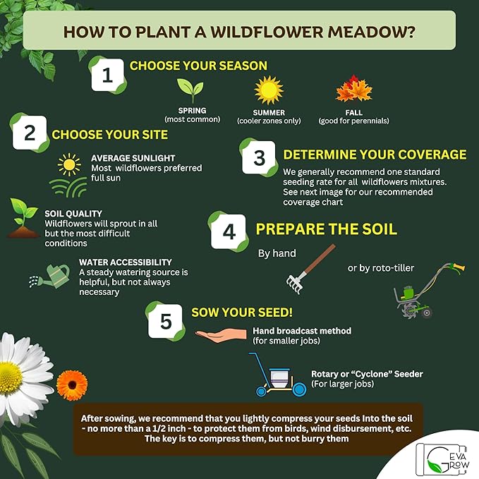 Midwest Wildflower Seeds Regional Mix - Organic, Non-GMO - 100% Pure Seed - 21 Different Wildflowers Seeds of Annual and Perennial, 1 LB Tub