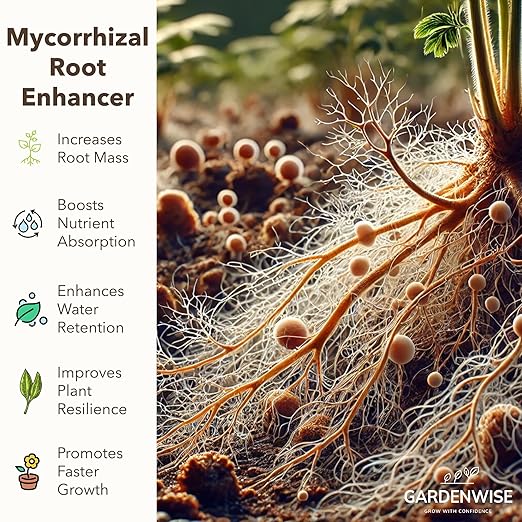 Organic Liquid Plant Food for Indoor Houseplants – All Purpose Fertilizer for Potted Plants, Vegetables, Succulents, Orchids, Roses – Miracle Growth with Mycorrhizae (8 oz)