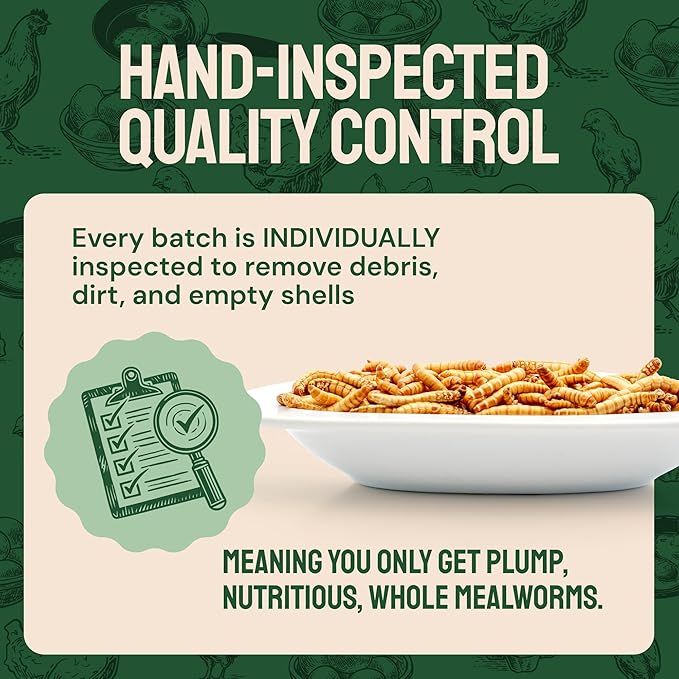 Bulk Dried Mealworms - 10 Lb Bag - Non-GMO Dried Mealworms for Chickens, Ducks & Wild Birds - High-Protein Chicken Feed & Bird Food