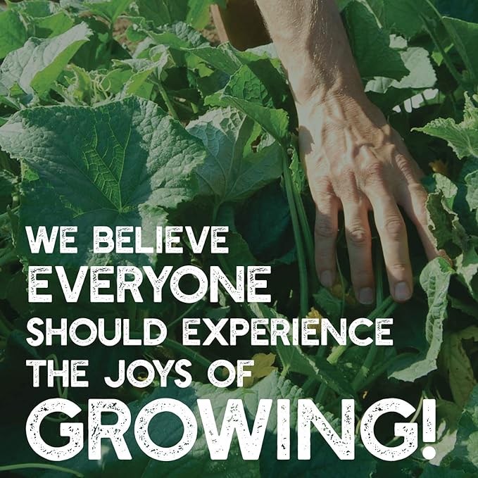 Radish Sprouting Seed - Red Arrow Variety - 5 Lb Bulk Seed - Heirloom Radish Sprouts - Non-GMO Sprouting and Micro Radishes