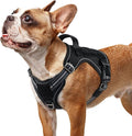 rabbitgoo Dog Harness Small Sized No Pull, Tactical Service Pet Vest with Molle and Control Handle, Adjustable and Reflective Military Harness for Easy Walking and Training, Black, S