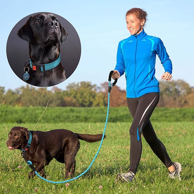 Heavy Duty Dog Leash - Comfortable Padded Handle, 5 ft Long - Dog Leashes for Small Medium Large Dogs (Leash+Collar XS Neck 10.5"-13.5", Red)