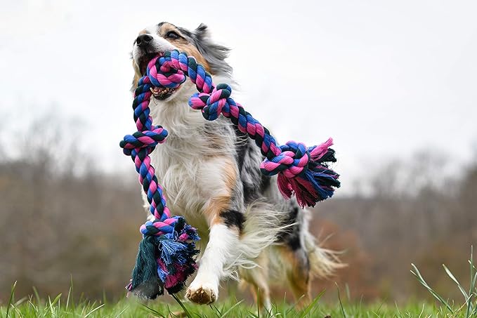 Mammoth Flossy Chews Rope Tug + Chuckit! Ultra Ball Dog Toy