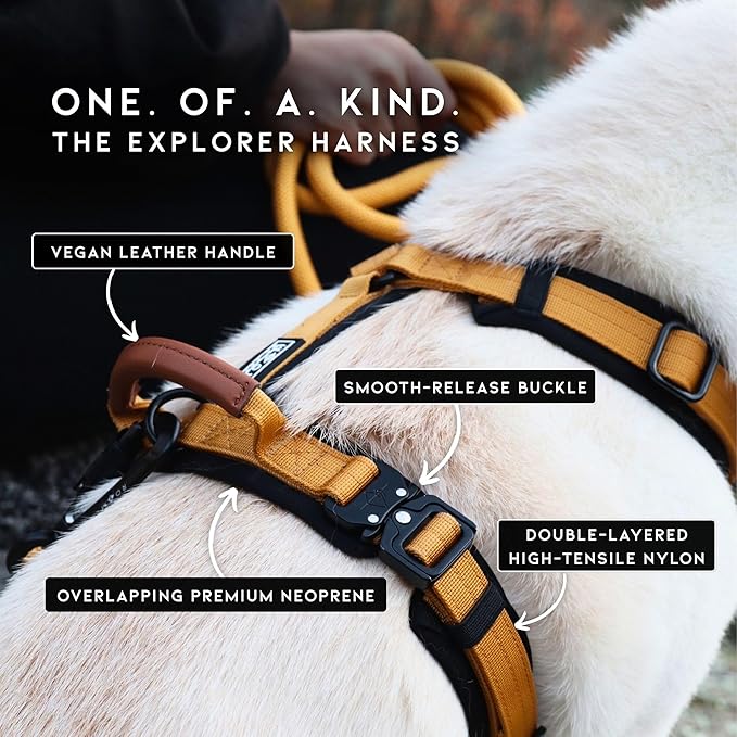 MADE TO ROAM Premium Explorer Harness - Y-Shaped Dog Harness with Adjustable Durable Nylon, Soft Padding, Metal Buckles and Leather Handle for Small, Medium, Large Dogs (Vermont Weekends, Size 6)