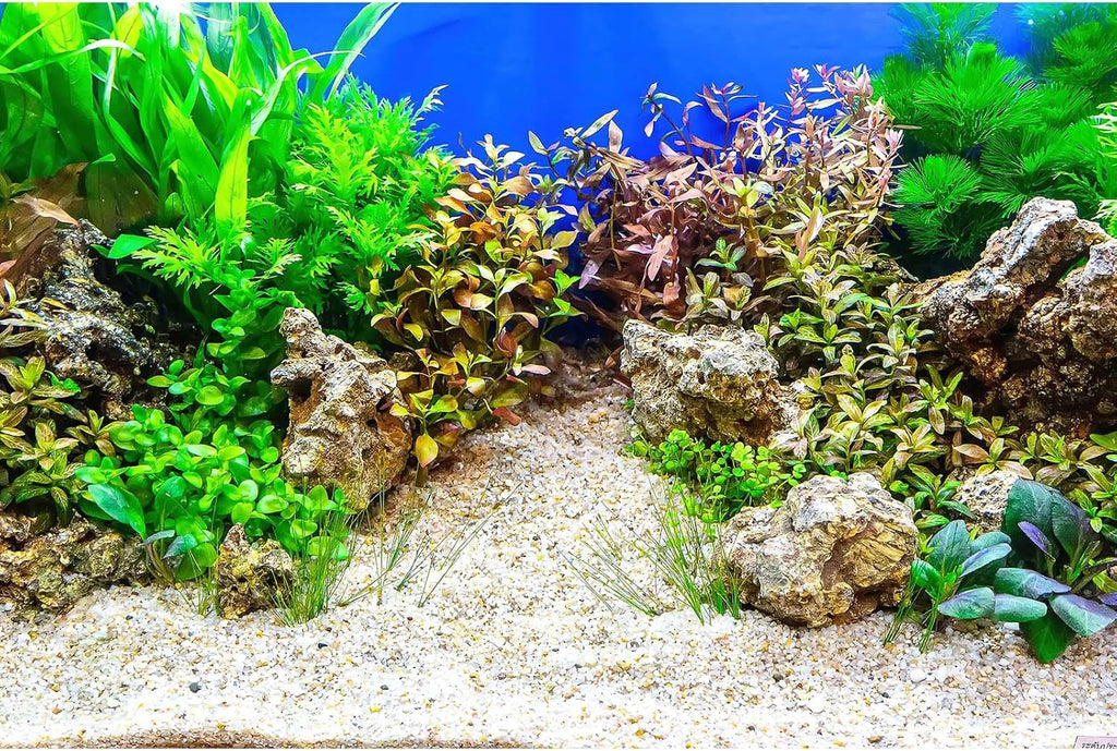 Aquarium Background Underwater Grass Leaves with Pebble Aquarium Backdrop Vivid and Fresh Green Aquatic Plant Stone River Bed and Lake Fish Tank Background Decor Vinyl 30x18in