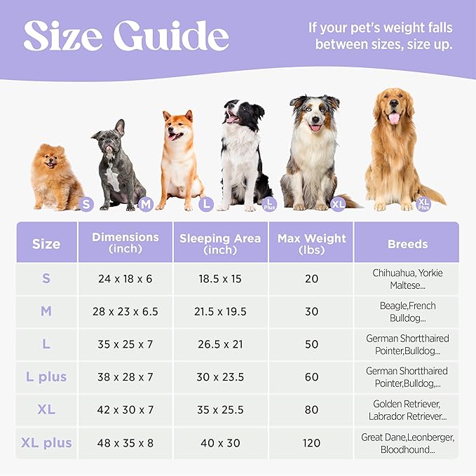 LE SURE Cute Dog Bed Medium Size Dog, Orthopedic Waterproof Medium Pet Beds with Sides, Non-Slip Bottom and Egg-Crate Foam Pet Couch Sofa with Washable Removable Cover, Grey