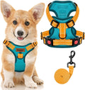 MIDOG No-Pull Dog Harness | Adjustable & Reflective Pet Harness Leash Set for Small Medium Large Dogs Walking, Training| No Choke, Front Clip, Soft Padded Vest with Easy Control Handle - Blue, S