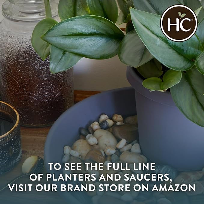 The HC Companies Flower Pot Saucers - Plastic Plant Saucer for Outdoors & Indoors - Traditional Design Plant Pot Trays for Water Drainage - Durable & Stylish Round Plant Tray (8-inch Sandstone)