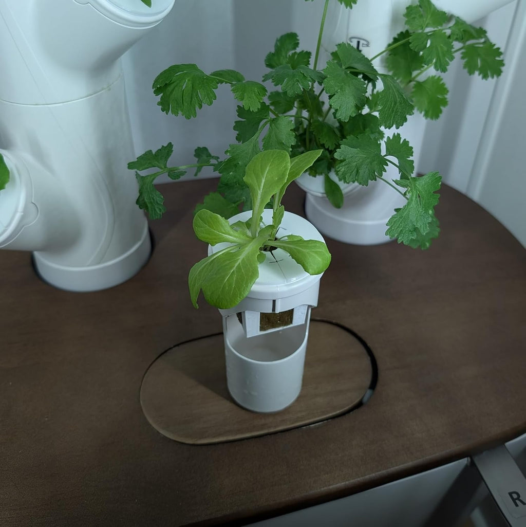 Grow Cubes for Hydroponic System/Compatible with Gardyn (15 Grow Cubes)
