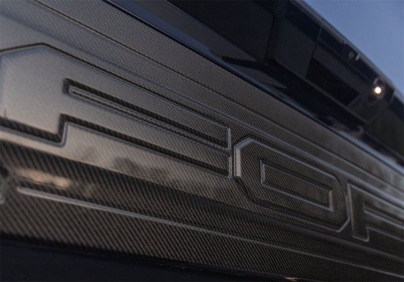 Ford Racing 21-24 Ford F150 Raptor Carbon Fiber Tailgate Panel - Gloss M-16600-FG