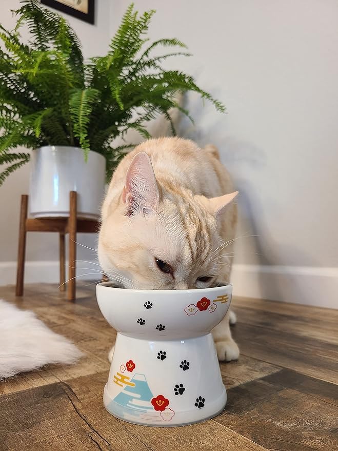 Necoichi Raised Stress Free Cat Food Bowl, Elevated, Backflow Prevention, Dishwasher and Microwave Safe, No.1 Seller in Japan! (Fuji Limited Edition, Large)