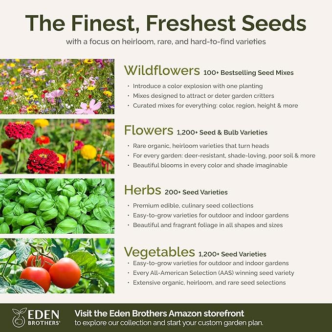 Eden Brothers Green with Envy Flower Mixed Seeds for Planting, 5 lb, 2,400,000+ Seeds with White Yarrow, Cornflower White | Attracts Pollinators, Plant in Spring or Fall, Zones 3, 4, 5, 6, 7, 8, 9, 10