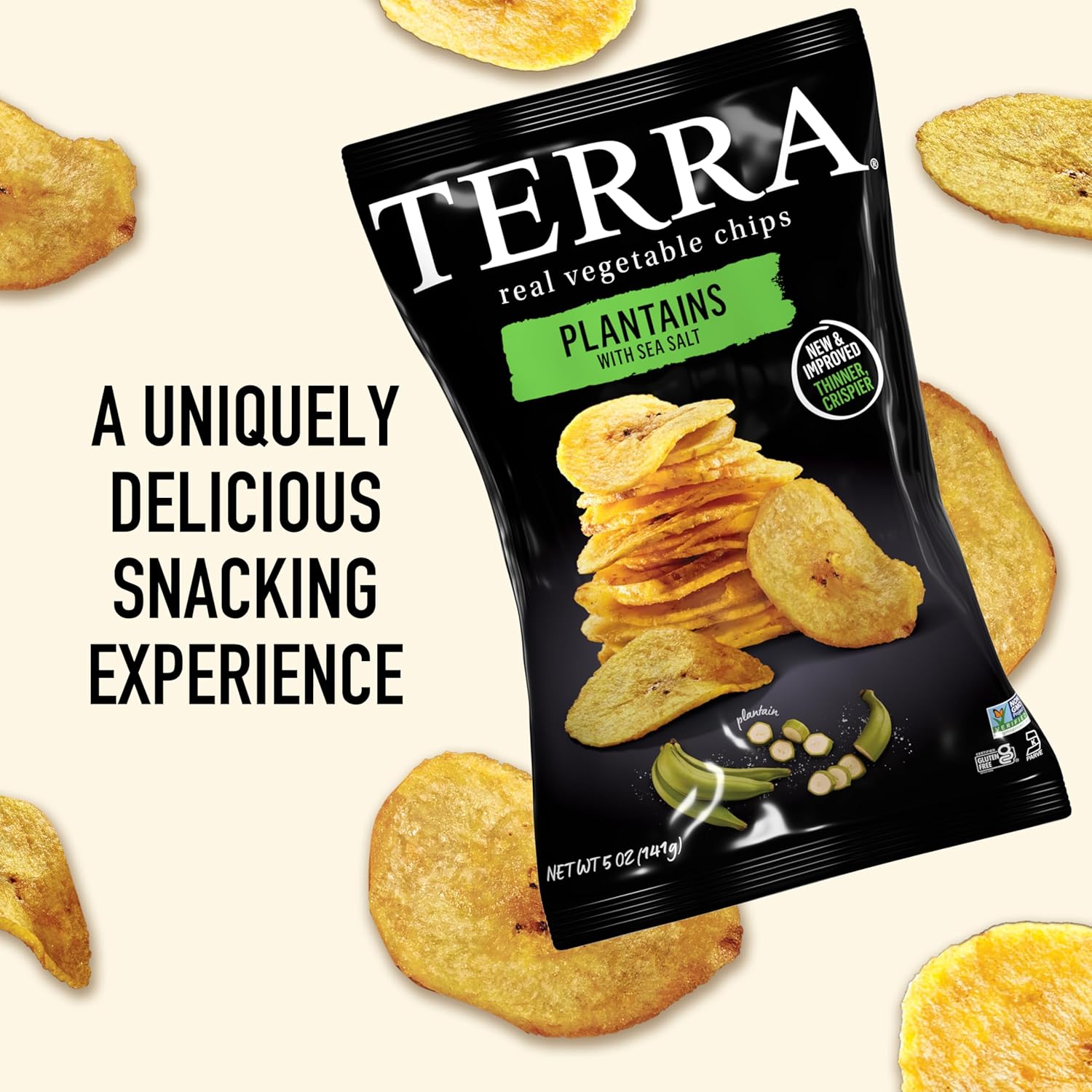 Terra Plantains Chips - Sea Salt - 12 x 5 oz