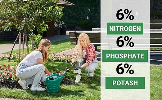 6-6-6 All-Purpose Professional Plant Food Fertilizer; Ideal for Winter Care & Spring Feeding, Perfect Balanced NPK for Indoor and Outdoor Plants (3 QUARTS)