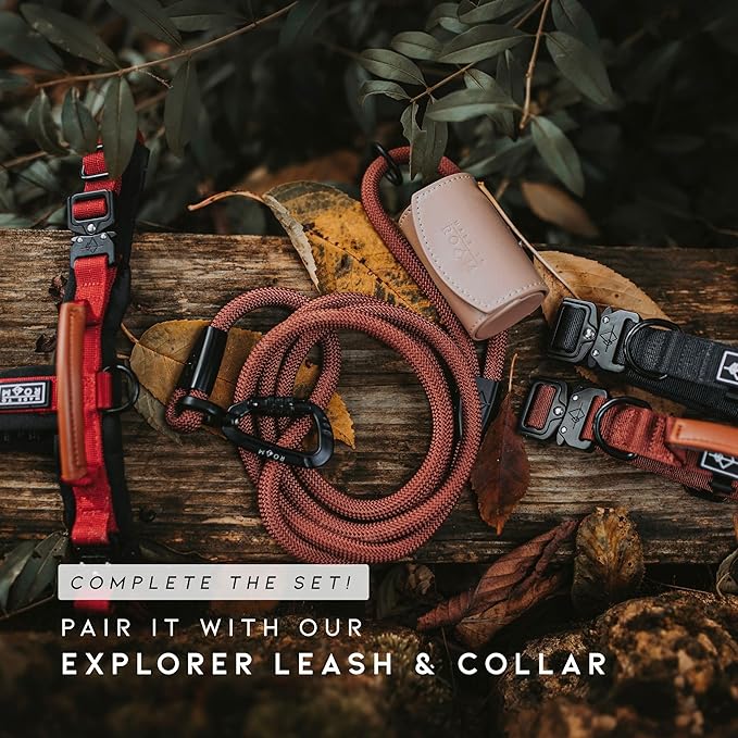 MADE TO ROAM Premium Explorer Harness - Y-Shaped Dog Harness with Adjustable Durable Nylon, Soft Padding, Metal Buckles and Leather Handle for Small, Medium, Large Dogs (Washington Rain, Size 6)