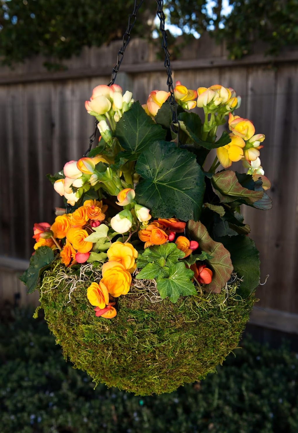 SuperMoss (29201) MossWeave Hanging Basket - Round, Fresh Green, Medium (14.5 Diameter)"