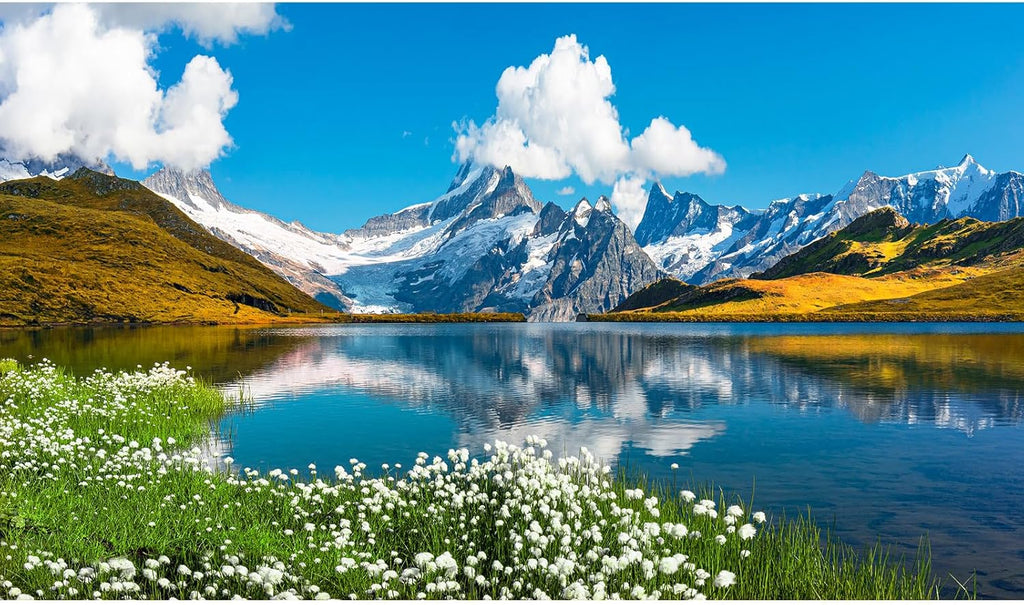 Mountains Lake Aquarium Background Bernese range View Fish Tank Background Switzerland Alps Grindelwald Valley Lake Terrarium Background Fantastic Natural Landscape Aquarium Fish Tank Decors 30x18in
