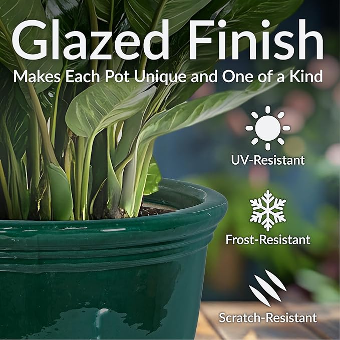 Sunnydaze Studio Large Ceramic Plant Pot - Round Outdoor Glazed Ceramic Planter Pot with Drainage - Dark Green - 15 in