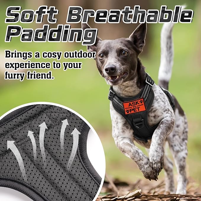 rabbitgoo Tactical Dog Harness for Small Dogs, No Pull Military Service Vest with Handle & Molle, Easy Control for Training Walking, Adjustable Reflective Straps, Black, S