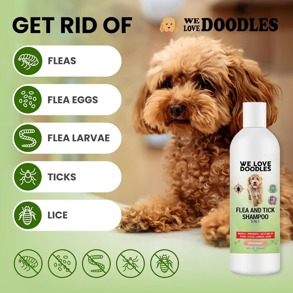 Flea and Tick Dog Shampoo 16 oz