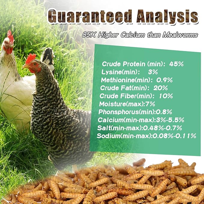 Dried Black Soldier Fly Larvae 20LBS, 85X More Calcium Than Mealworms High-Protein BSF Larvae Chicken Treats Non-GMO BSFL for Chickens, Hens, Ducks, Wild Birds
