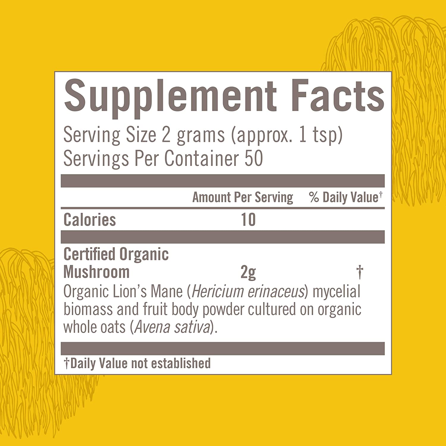 Om Mushroom Superfood Lion's Mane Organic Mushroom Powder 3.5 Oz