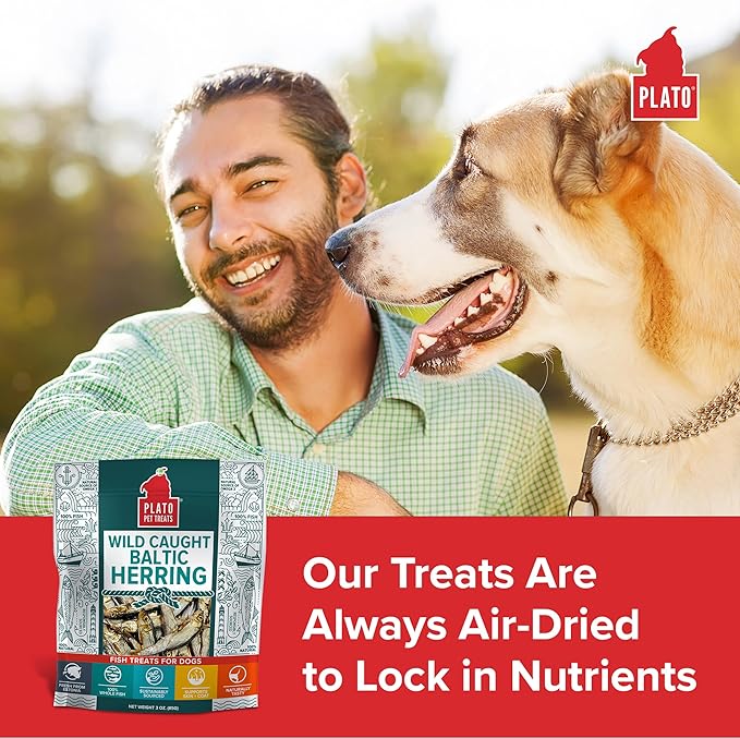 PLATO Pet Treats Fish Dog Treats - Air-Dried, Single Ingredient Dog Treat - with Omega 3 & 6 Fatty Acids to Support Skin and Coat - 100% Whole Fish - Wild Caught Baltic Herring Dog Treats - 8.5 oz