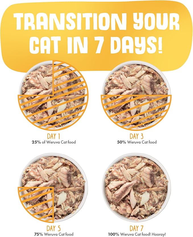 Weruva Classic Cat Food, Mideast Feast with Grilled Tilapia in Gravy, 5.5oz Can (Pack of 24)