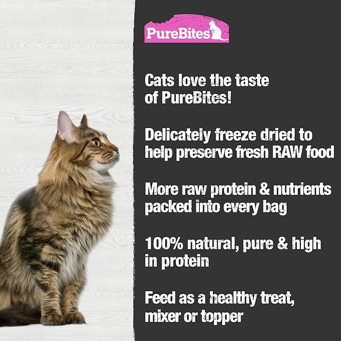 PureBites Freeze Dried Salmon Cat Treats, 4.7Oz | 134g - Jumbo Size
