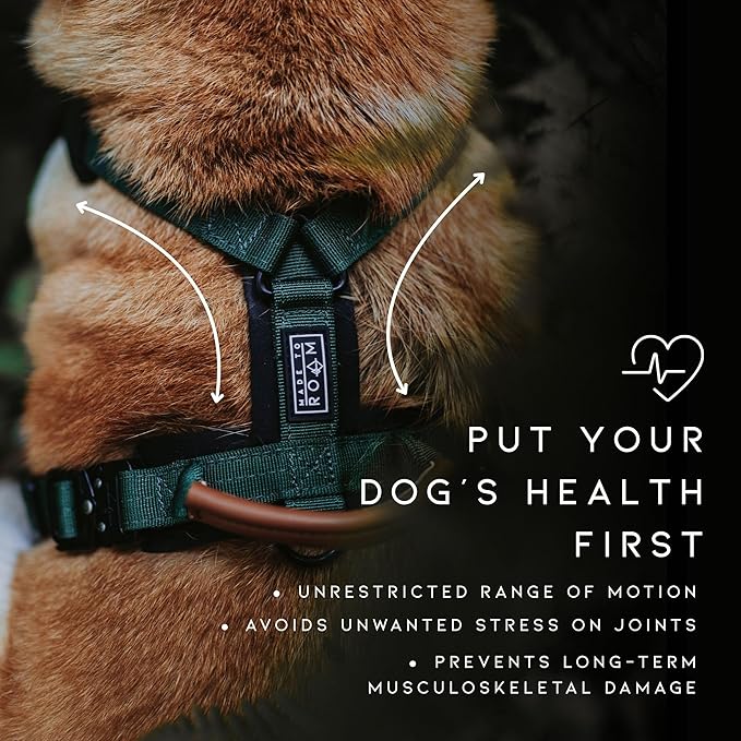 MADE TO ROAM Premium Explorer Harness - Y-Shaped Dog Harness with Adjustable Durable Nylon, Soft Padding, Metal Buckles and Leather Handle for Small, Medium, Large Dogs (Virginia Mountains, Size 3)