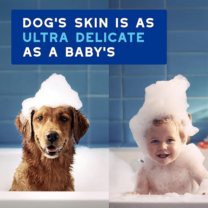 DOUXO® Skin & Coat SPA - Ultra-Safe Quick Refresh Leave-on Mousse for Dogs, 10 fl oz, Safely Cleans and Refreshes, Leaves The Coat Soft, Radiant and Smelling Great, Skin-Friendly Formula