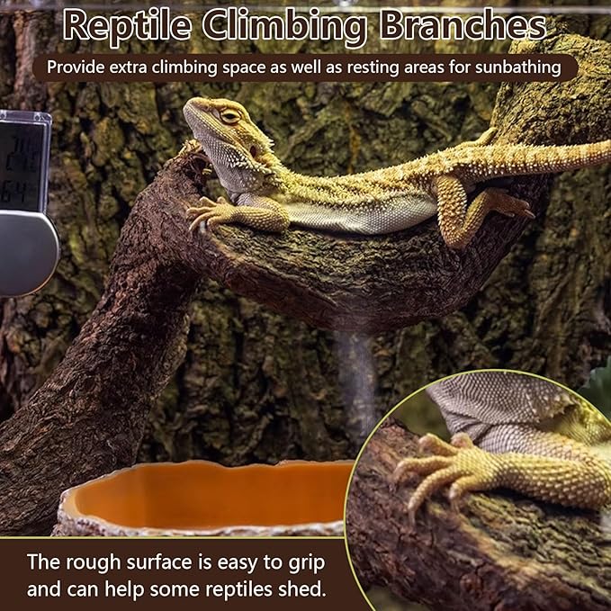 BNOSDM 3Pcs Reptile Climbing Branches Decor,Snake Climbing Branch,Gecko Climb Wood,Lizard Forest Branch,Tank Habitat Tree Trunk Decorations for Bearded Dragons,Chameleons,Spider,Frogs (M)